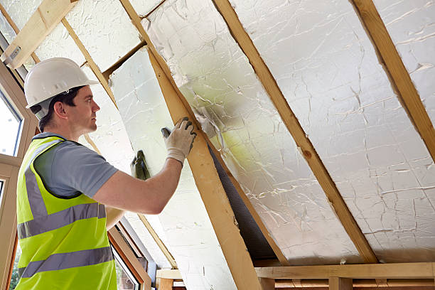 Best Insulation Removal  in Northfield, NJ